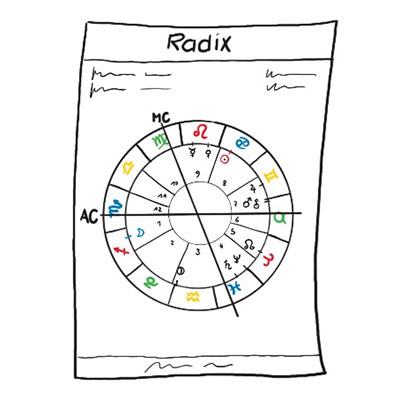 Radix Illustration