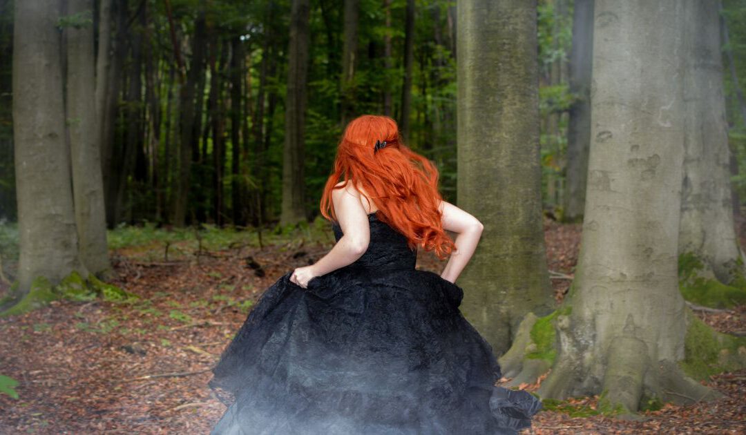 Lilith in den Tierkreiszeichen