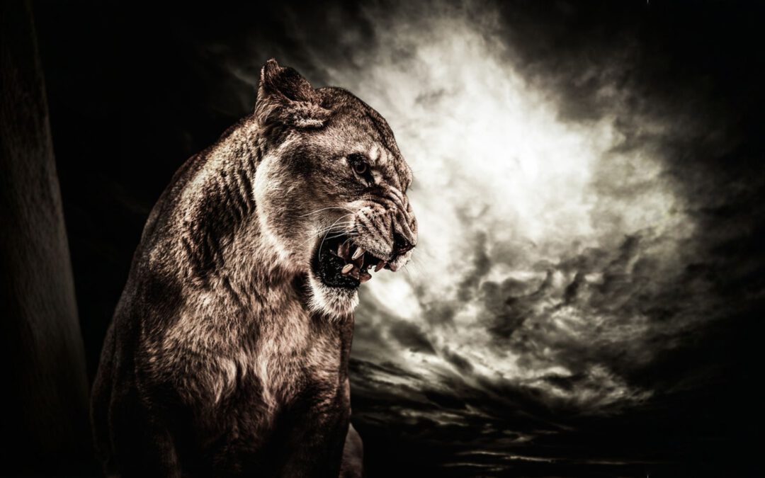 Lilith in den Häusern – wo dich Anpassung deine Lebensenergie kostet