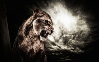 Lilith in den Häusern – wo dich Anpassung deine Lebensenergie kostet