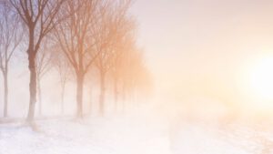 wintersonnenwende-licht-nebel-winterweg