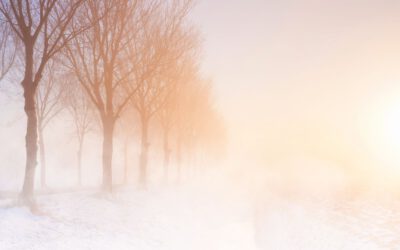 Die Wintersonnenwende: Der leiseste Neubeginn des Jahres