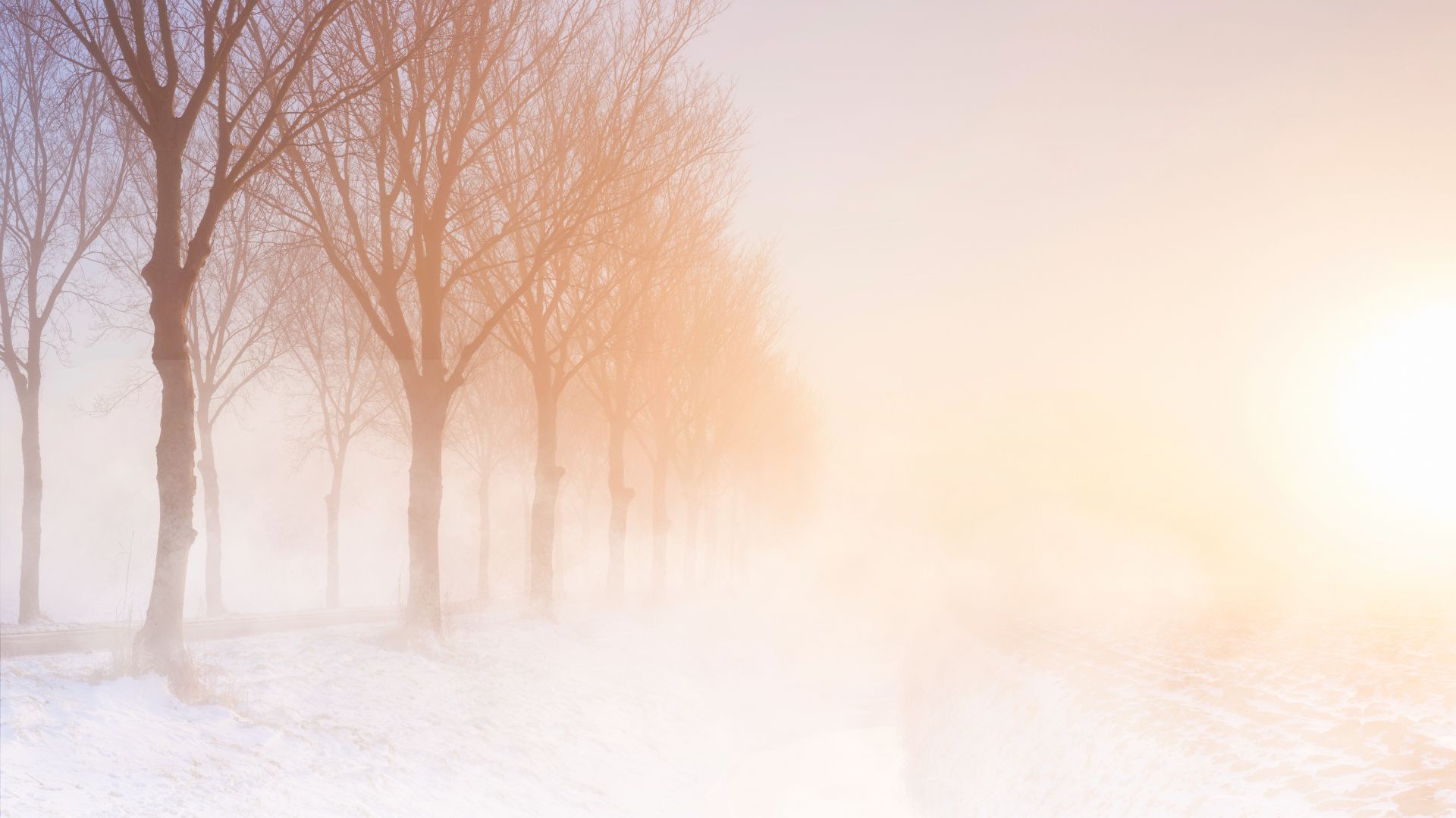 073_Wintersonnenwende_Header wintersonnenwende-licht-nebel-winterweg