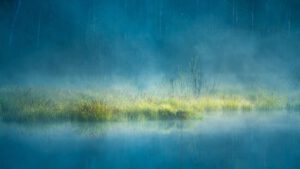 Neptun im Widder_Wasser mit Glas im Nebel Landschaft