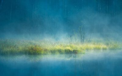 Neptun im Widder – Neustart für deine Träume und Sehnsüchte