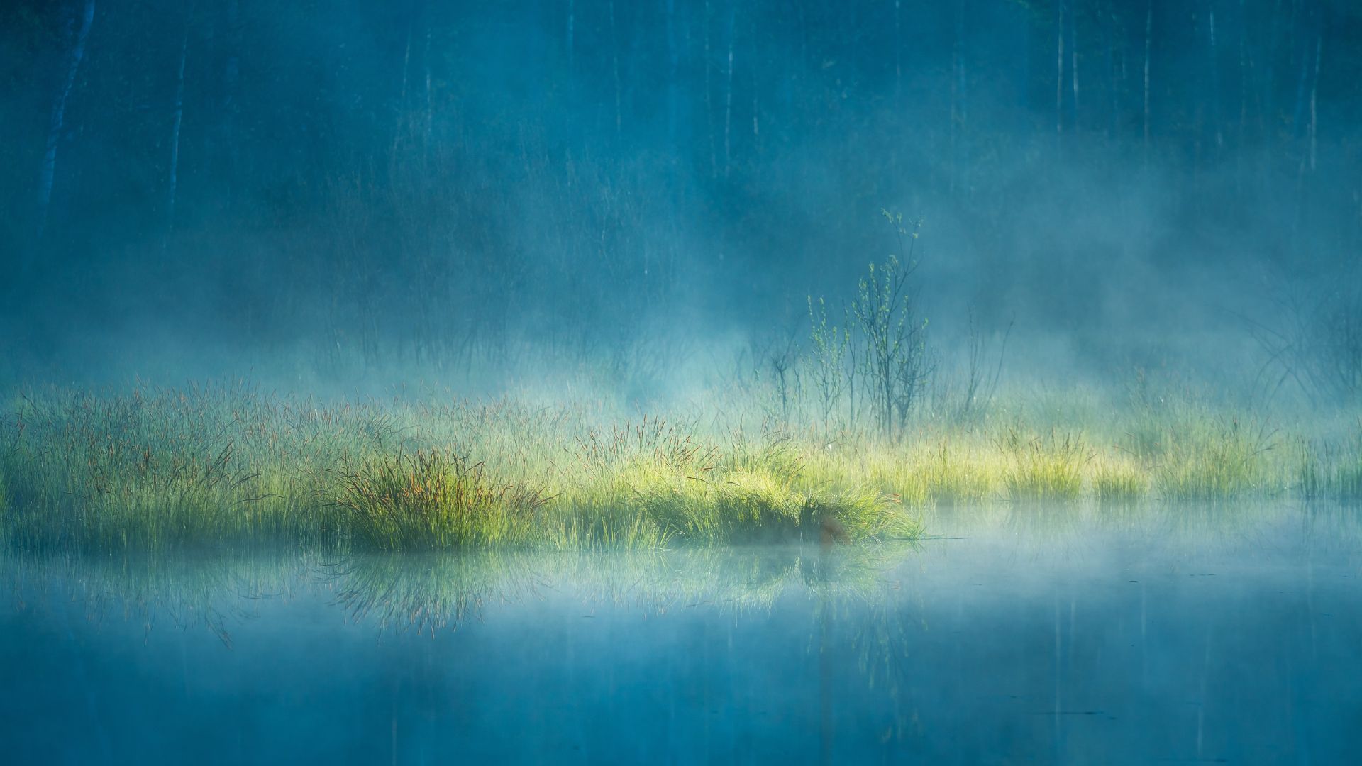 Neptun in Widder_Nebel-Wasser-Gras Neptun im Widder_Wasser mit Glas im Nebel Landschaft
