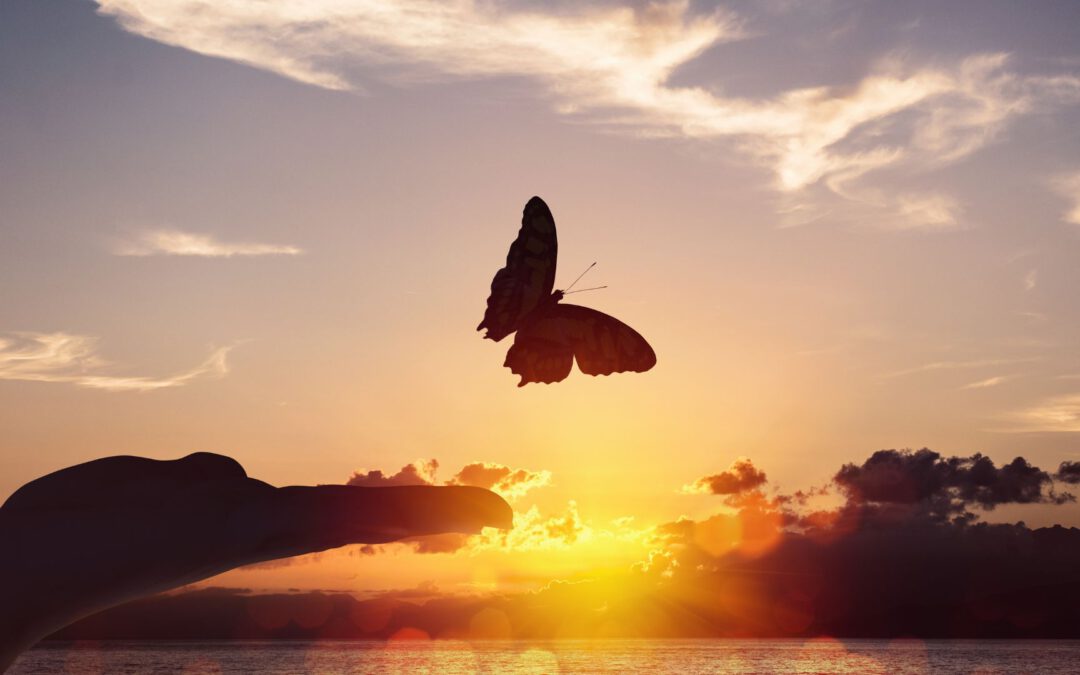 Pluto-Transit: Erfahrungsbericht Teil 3 – vom freien Fall zum Wendepunkt