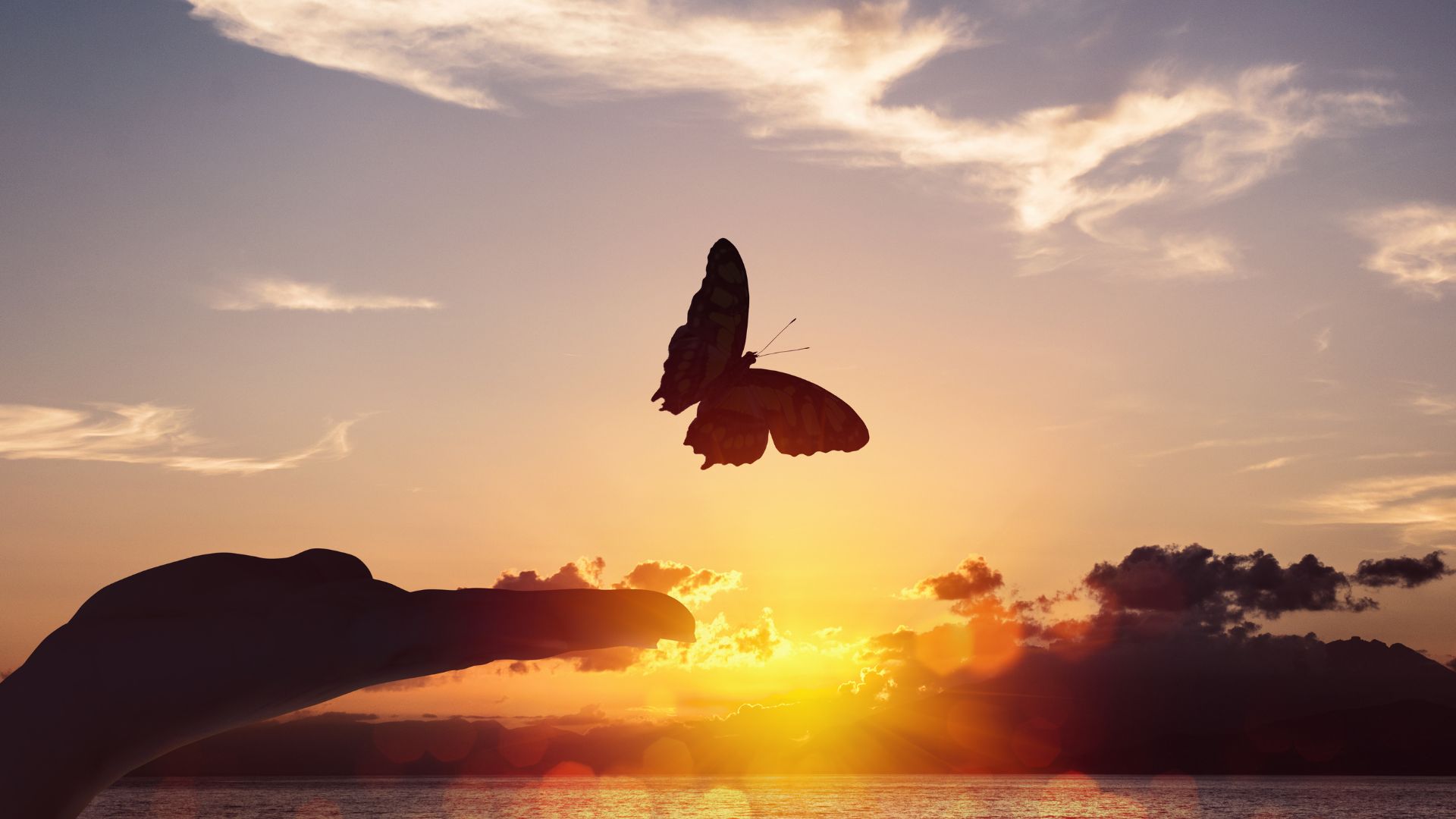 Pluto-Transit_Erfahrungsbericht Teil 3 – Der Wendepunkt_Blogbild Schmetterling erhebt sich von Hand in den Sonneaufgang, Titelbild Blogartikel Pluto-Transit Wendepunkt